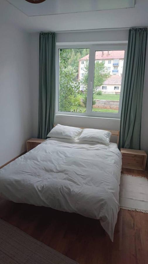 Comoara Hasmasului Apartment Balan  Екстериор снимка